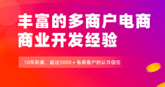 电商系统定制开发的标准流程及步骤